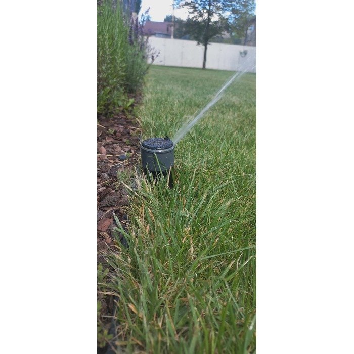 Aplinkos apželdinimas 8