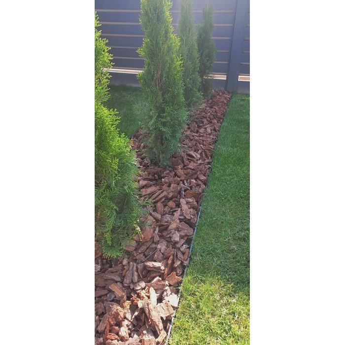 Aplinkos apželdinimas 9