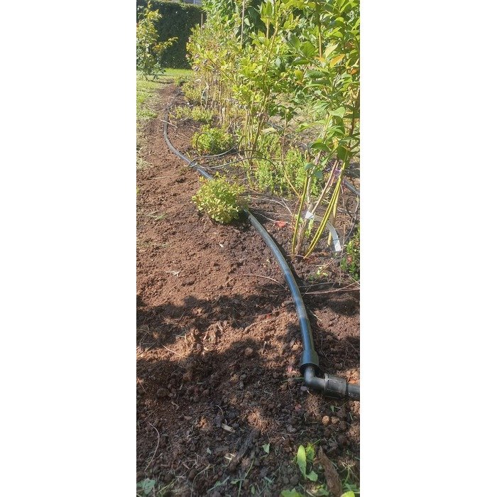 Aplinkos apželdinimas 12