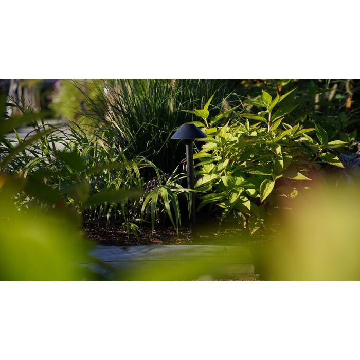 &Scaron;viestuvas EP-31 7