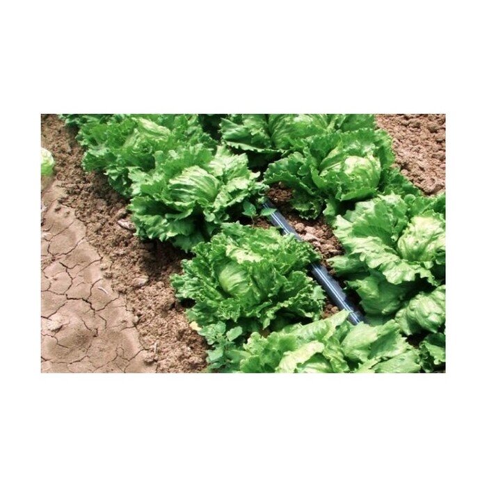 Juosta Aqua-Traxx 8mil x 20cm (400m) 11