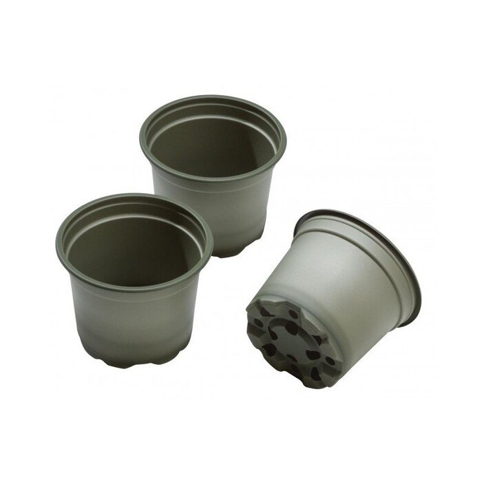 Suyrantys vazonai 9 cm (5 vnt.) 16