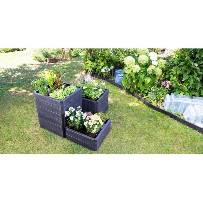 Pakelta lysvė ERGO Quadro S 17