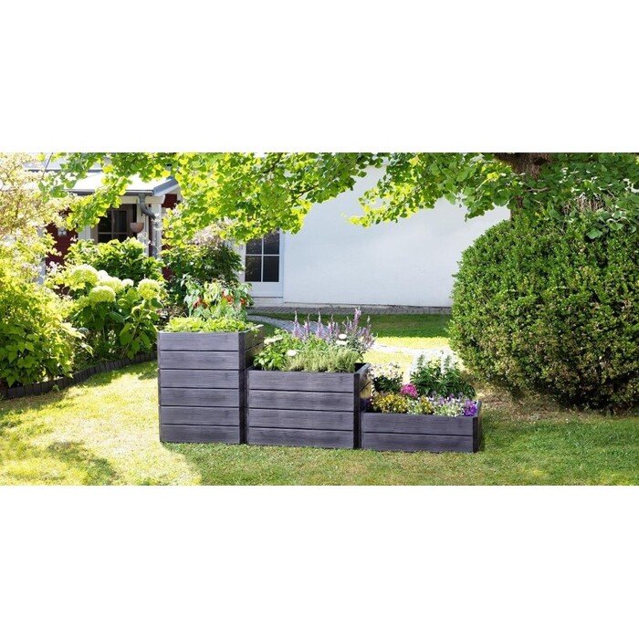 Pakelta lysvė ERGO Quadro S 15