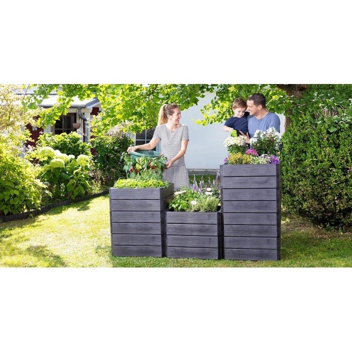 Pakelta lysvė ERGO Quadro S 19