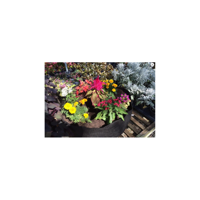 Veltinis &bdquo;Smart Pot&ldquo; vazonas 26L