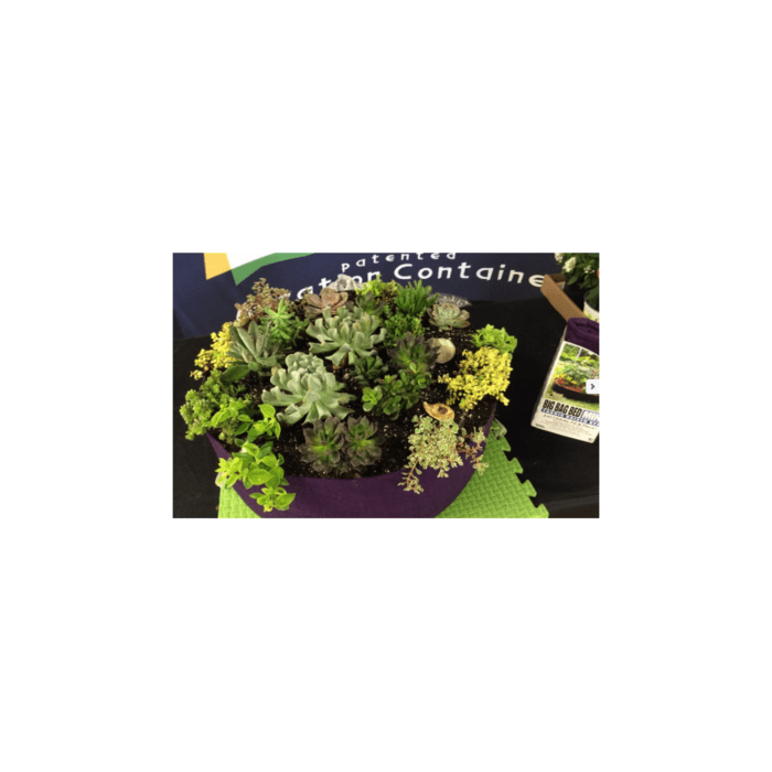 Veltinis &bdquo;Smart Pot&ldquo; vazonas 26L