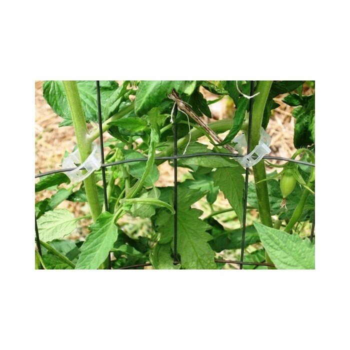 Pomidoro segtukai (30 vnt.) 12