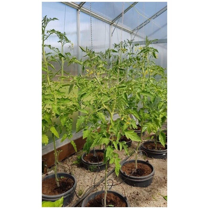 .&Scaron;iltnamio laistymo sistema  Keturkojis  vandentiekiui 15m 13