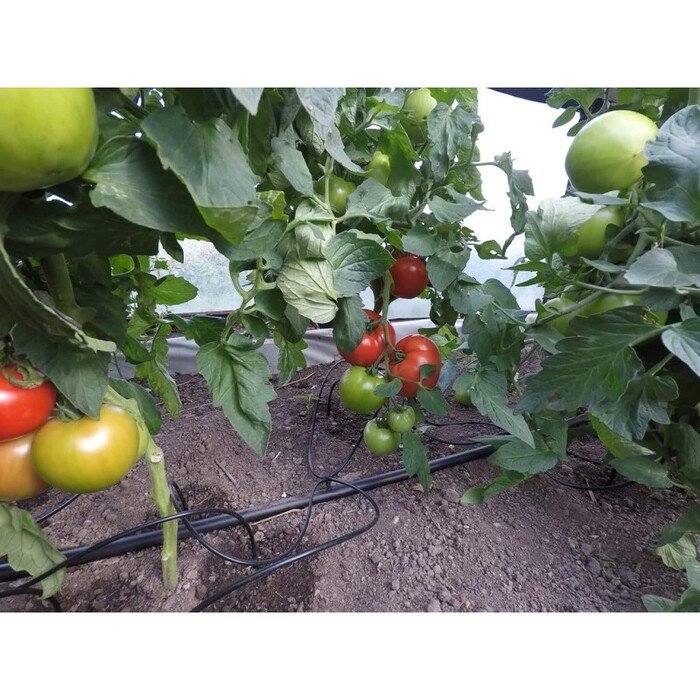 .&Scaron;iltnamio laistymo sistema  Keturkojis  gravitacinis 10m 21