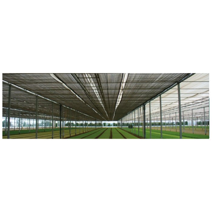 Tinklas nuo saulės ROBUXTA 2 x 2 m 6