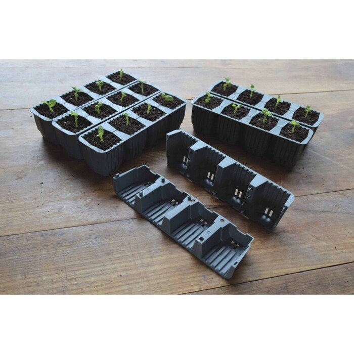 Daigykla greitesniam augalų įsi&scaron;aknijimui su laistymu 36