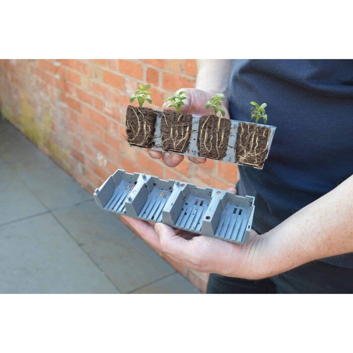 Daigykla greitesniam augalų įsi&scaron;aknijimui su laistymu 35