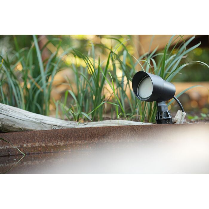 &Scaron;viestuvas EW-31 2