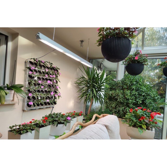 PHYTO PRO LED lempa  6