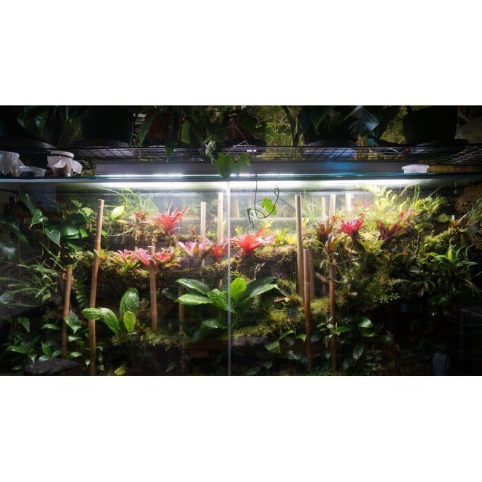 PHYTO PRO LED lempa  2