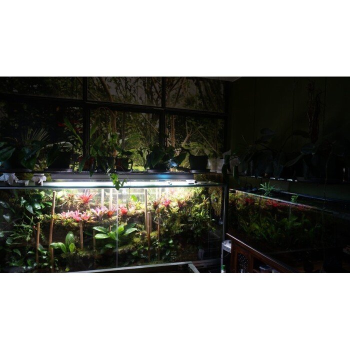 PHYTO PRO LED lempa  1