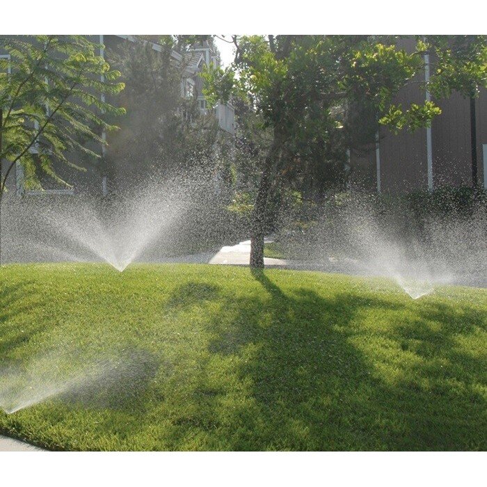 Antgalis Pro-van 17 4