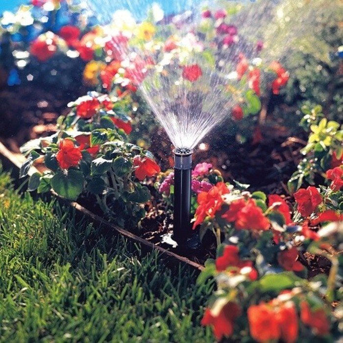 Antgalis Pro-van 17 5