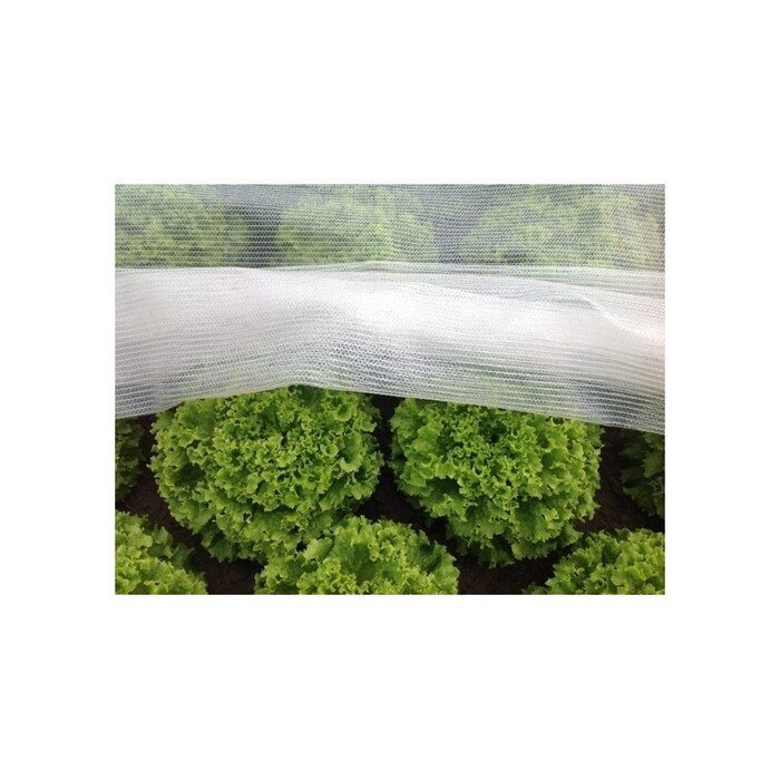 Arricover apsauginis tinklas 2 x 100 m 22