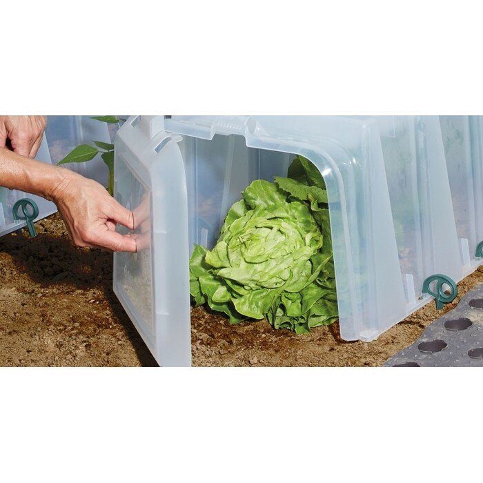 &Scaron;iltlysvės aklės 2vnt. 4