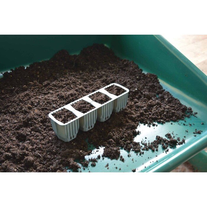 Daigykla greitesniam augalų įsi&scaron;aknijimui 34