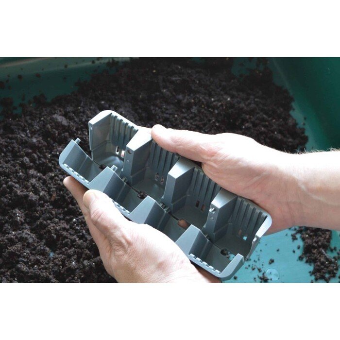 Daigykla greitesniam augalų įsi&scaron;aknijimui 31