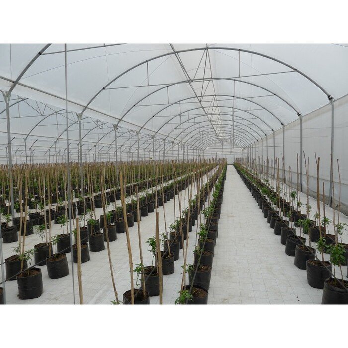 Mulčiavimo danga, balta AGRITELA 1.05 x 100 m 2