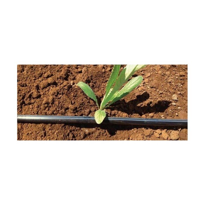 Juosta Aqua-Traxx 8mil x 20cm (250m) 12