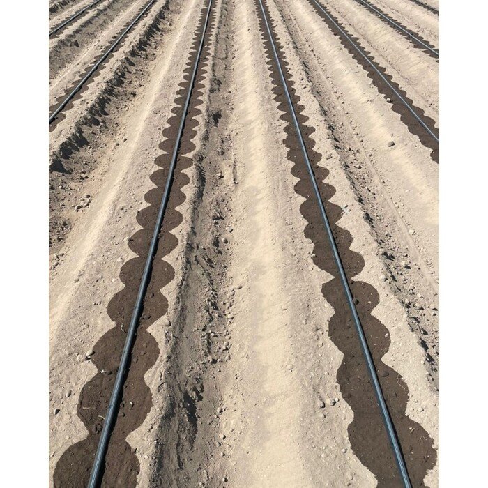 Juosta Aqua-Traxx 8mil x 20cm (250m) 17