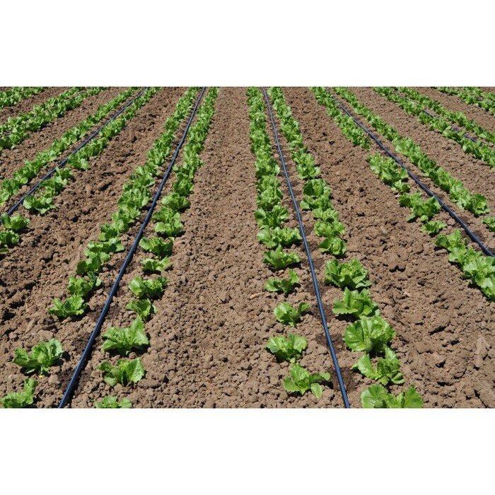 Juosta Aqua-Traxx 8mil x 20cm (50m) 11