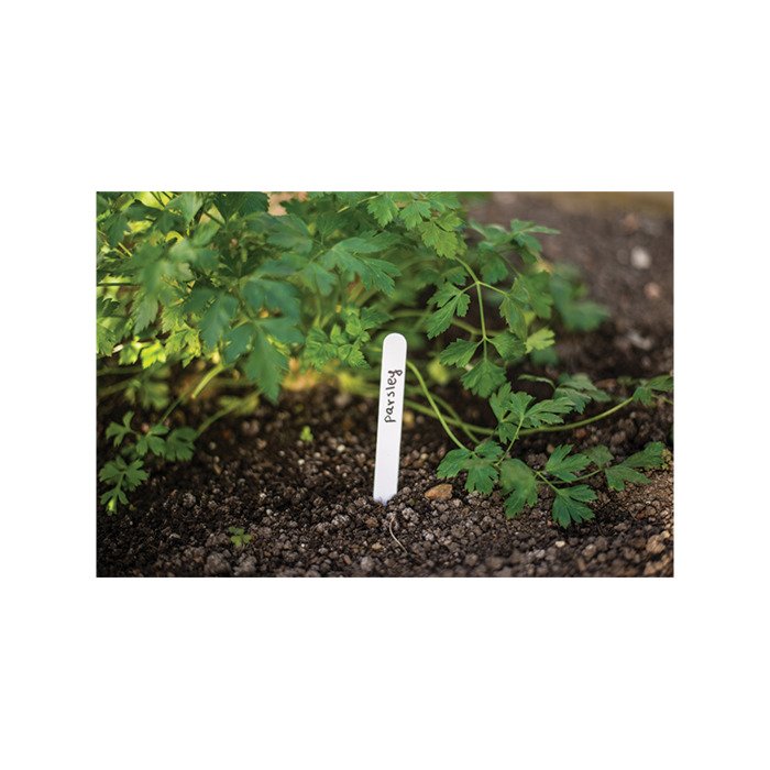 Etiketės augalų žymėjimui 25 vnt. 4