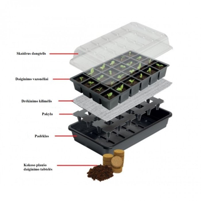 Daiginimo rinkinys su laistymu ir daiginimo tabletėmis (37,5 x 23 cm) 11