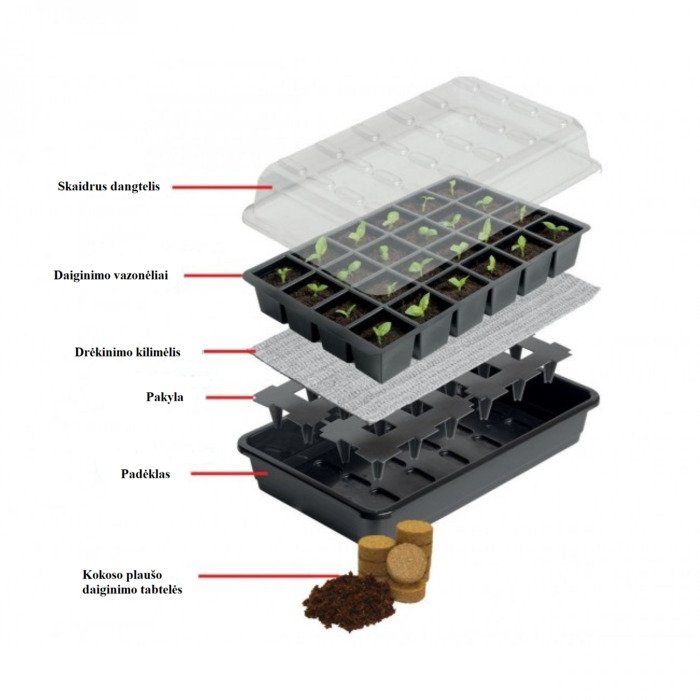 Daiginimo rinkinys su laistymu ir daiginimo tabletėmis (37,5 x 23 cm)