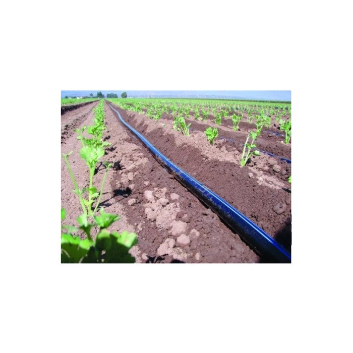 Juosta Aqua-Traxx 15mil x 20cm (1300m) 7