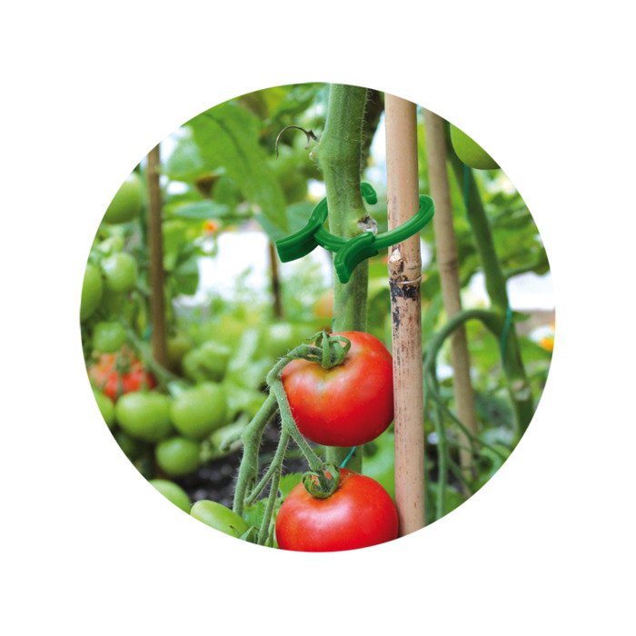 Segtukai 3 dydžių 6