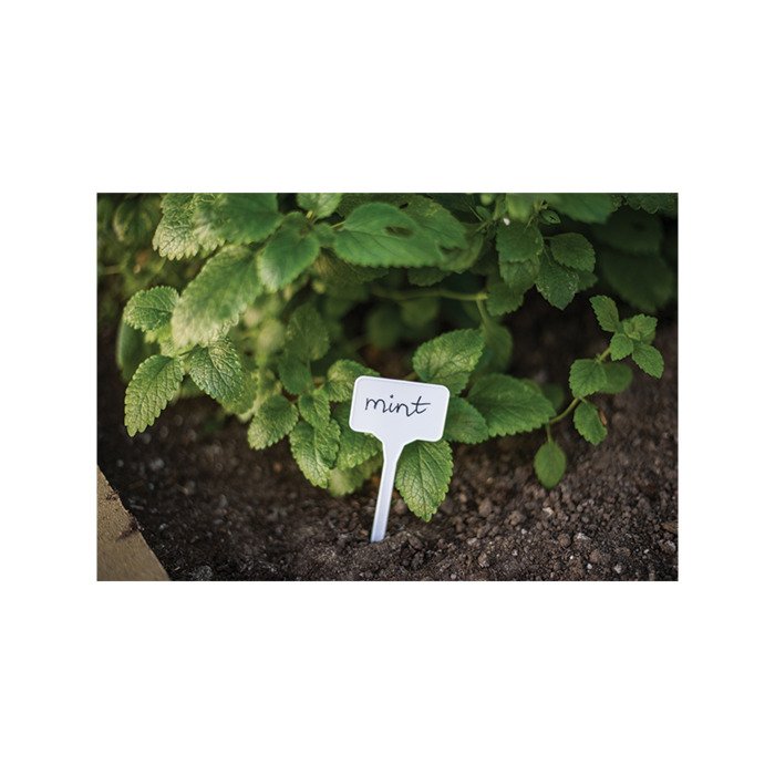 Lentelės augalų žymėjimui 10 vnt. 4